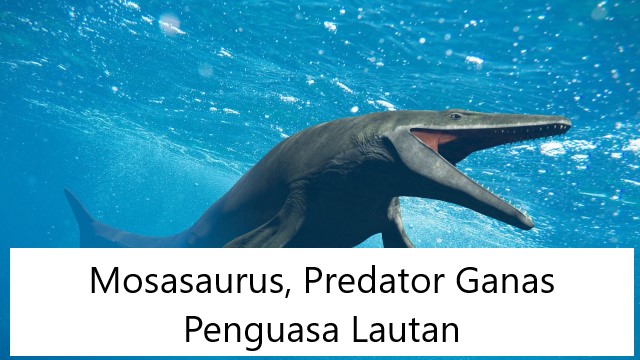 Mosasaurus, Predator Ganas Penguasa Lautan