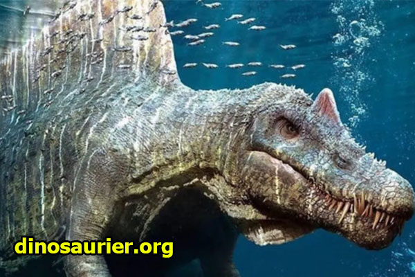 Fakta Unik Tentang Spinosaurus