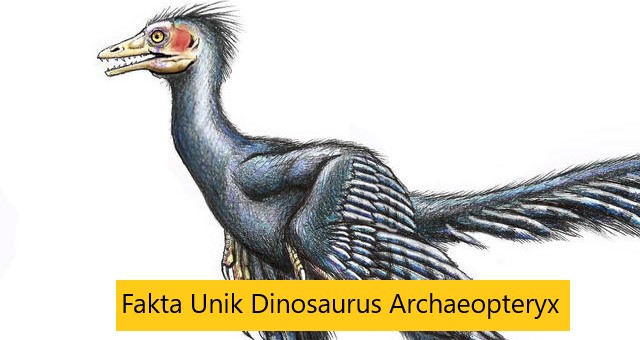 Fakta Unik Dinosaurus Archaeopteryx